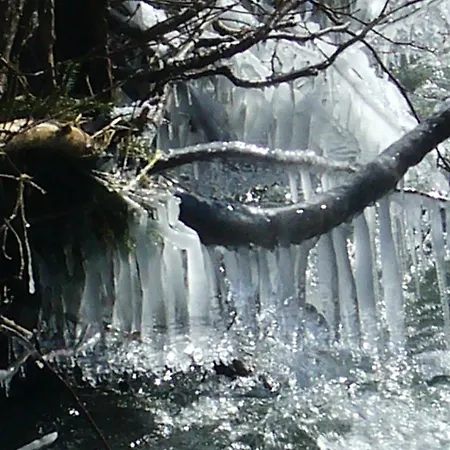 Daire Relaxen Im Alten Winzerhaus Og