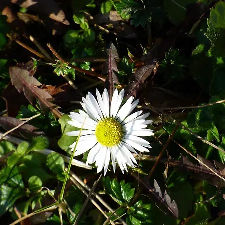 Relaxen Im Alten Winzerhaus Og 레크
