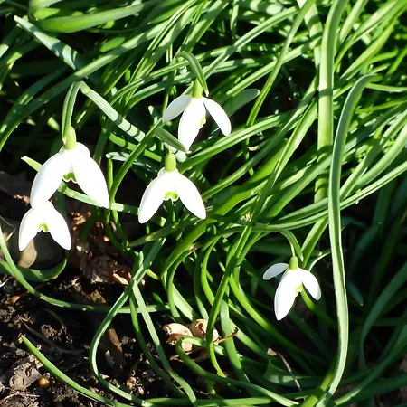 Relaxen Im Alten Winzerhaus Og Daire