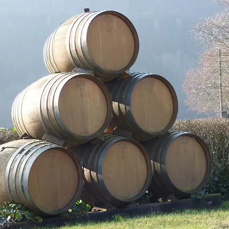 Appartement Relaxen Im Alten Winzerhaus Og *