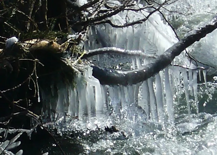 Appartamento Relaxen Im Alten Winzerhaus Og