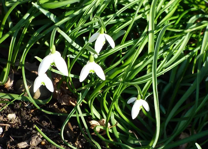 Relaxen Im Alten Winzerhaus Og Appartamento