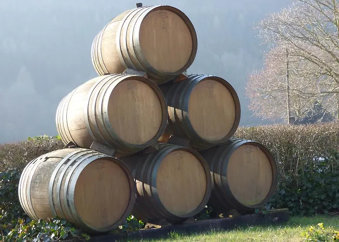 Appartamento Relaxen Im Alten Winzerhaus Og *