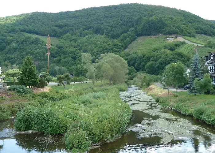 Relaxen Im Alten Winzerhaus Og * Rech